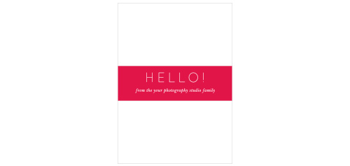 Finish the Modern Family Welcome Kit with the Modern Family Belly Bands.
