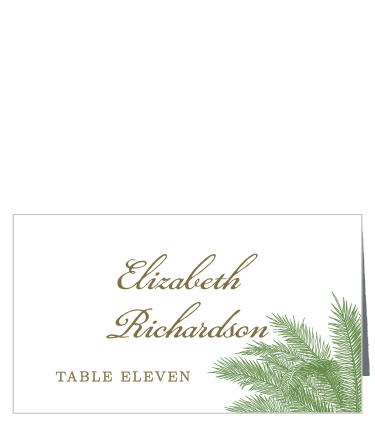 Caribbean Palm Place Cards