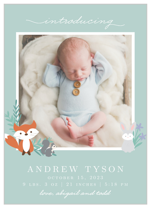 Introduce your newborn with the whimsical charm of the Friendly Forest Birth Announcement.