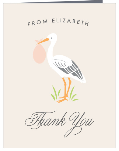 Stoked Stork Baby Shower Thank You Cards