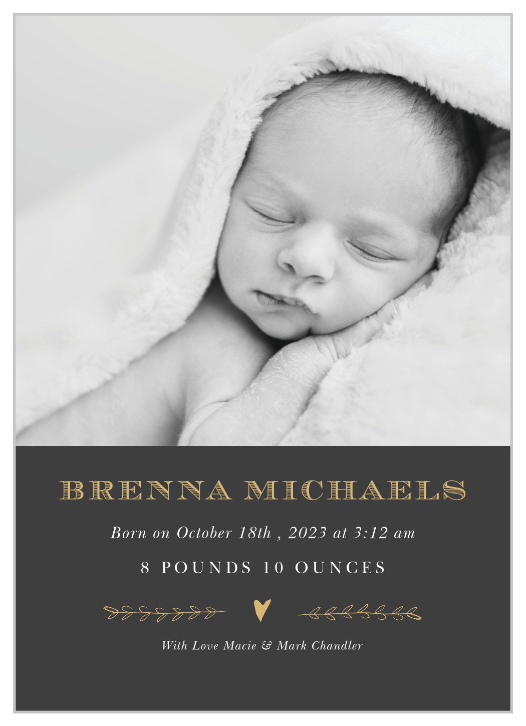 New Introductions Foil Birth Announcements