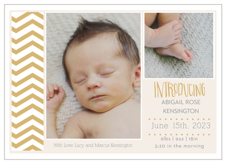 What goes best with chevron? Your baby of course! Customize the fonts and colors and upload your favorite photos to introduce your pride and joy to the world!!