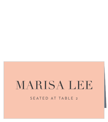 Ensure that all of your guests are comfortably seated in the correct places with our Angular Color Place Cards.