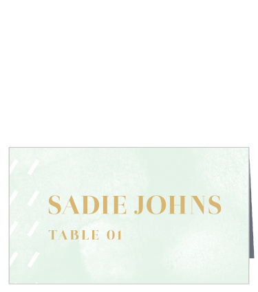 Help your guests find their seats with our gorgeous Sea Breeze Collage Place Cards. A stunning gold-foil adorns the page, spelling out the table number as well as your guests' names, and standing out brightly against the sea-spray green background.