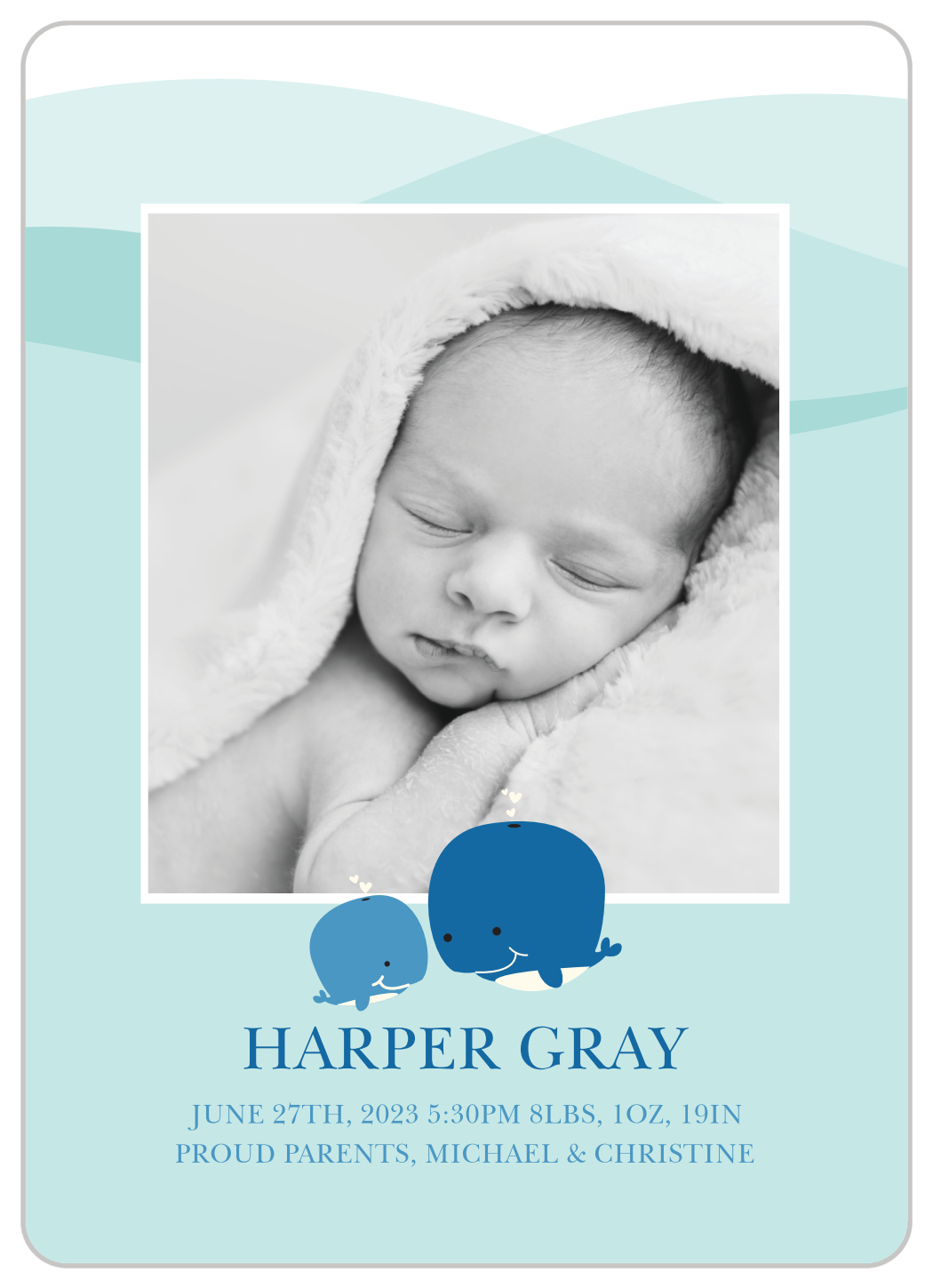 Whale of a Time Birth Announcements