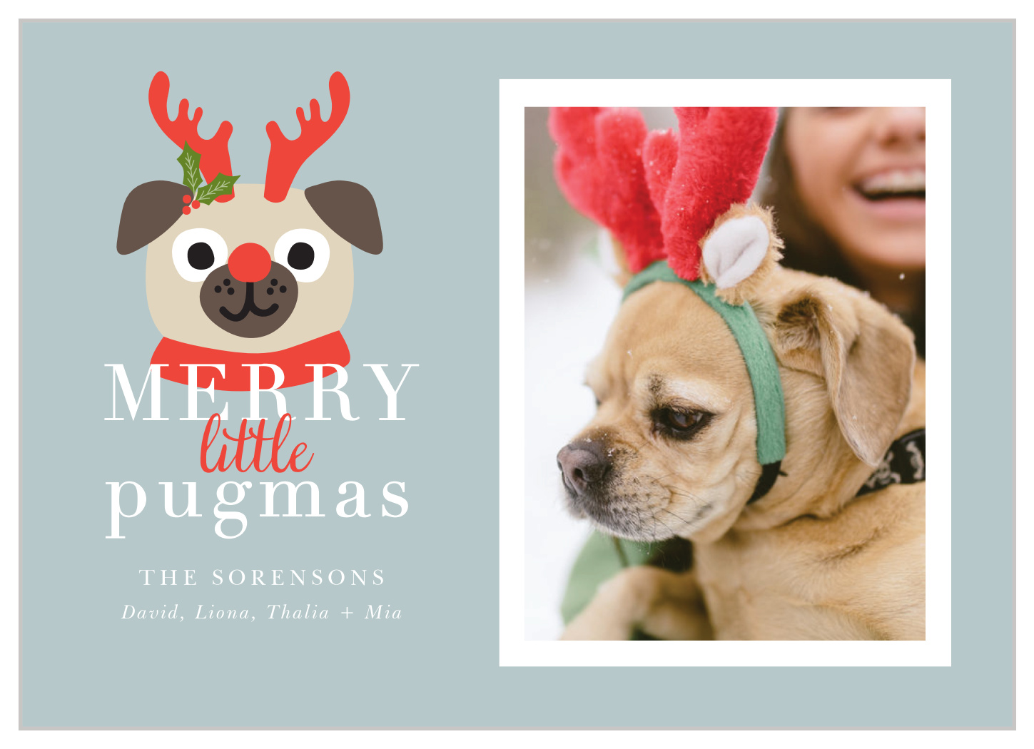 Peaceful Pug Christmas Cards