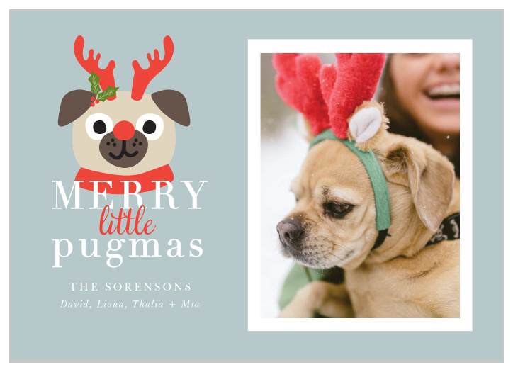 Our Peaceful Pug Christmas Cards are sure to put a smile on your loved ones faces!