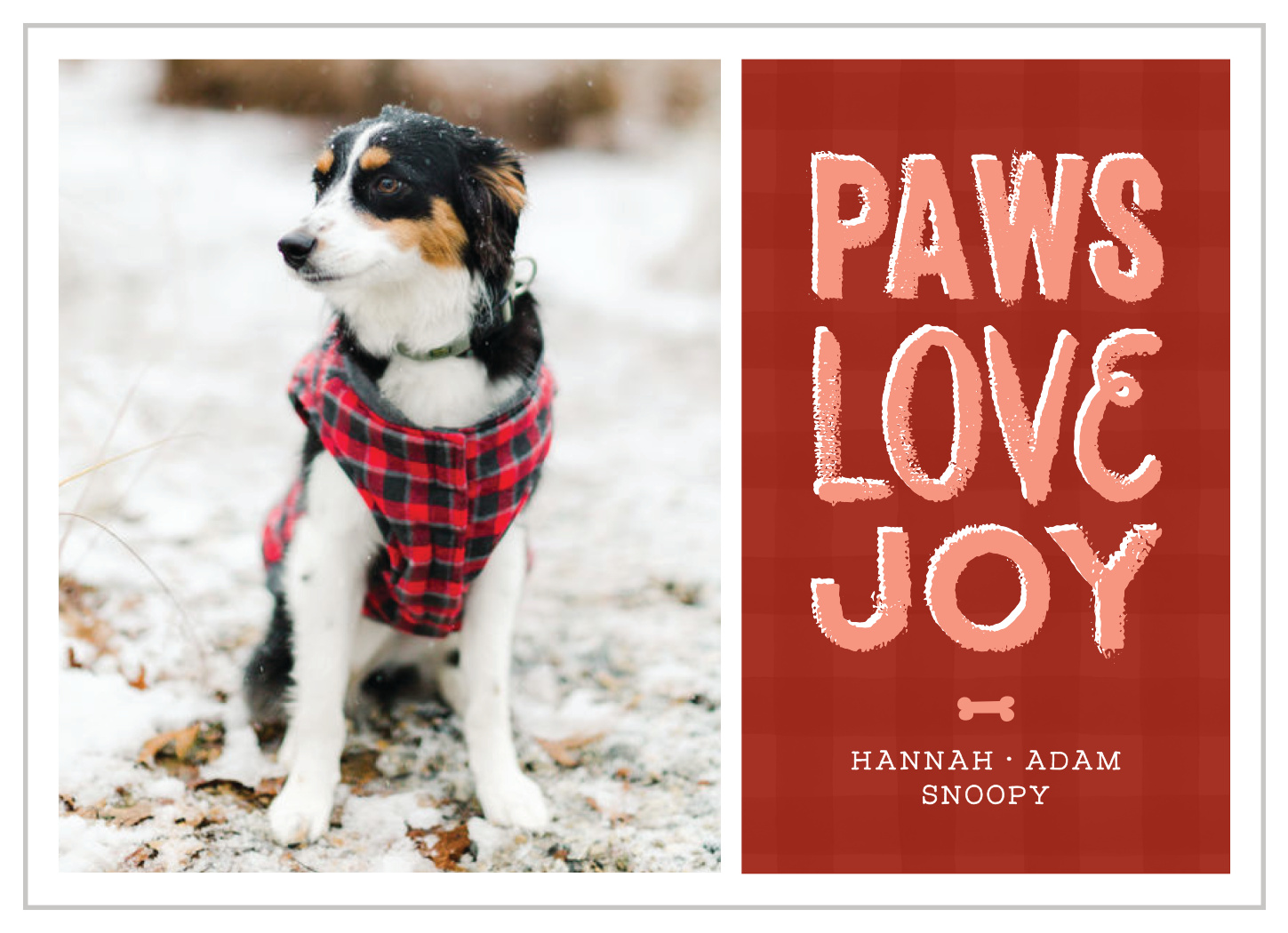Puppy Paws Holiday Cards