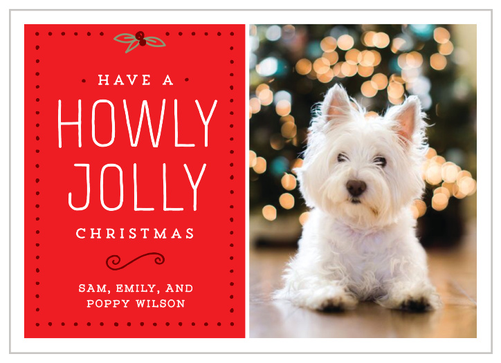 Howly Jolly Christmas Cards offer a playfully classic take on a holiday greeting card. Utilizing clean, easy-to-read text, holiday-themed illustrations, and a play on words worth a slight chuckle, these cards are perfect for shifting the focus to your four-legged family member.