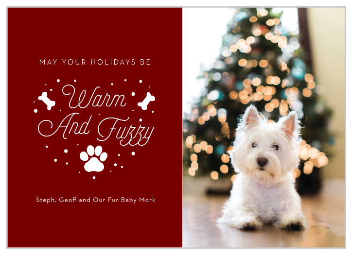 Our Fuzzy & Warm Holiday Cards lets the furriest member of your family take center stage this season.