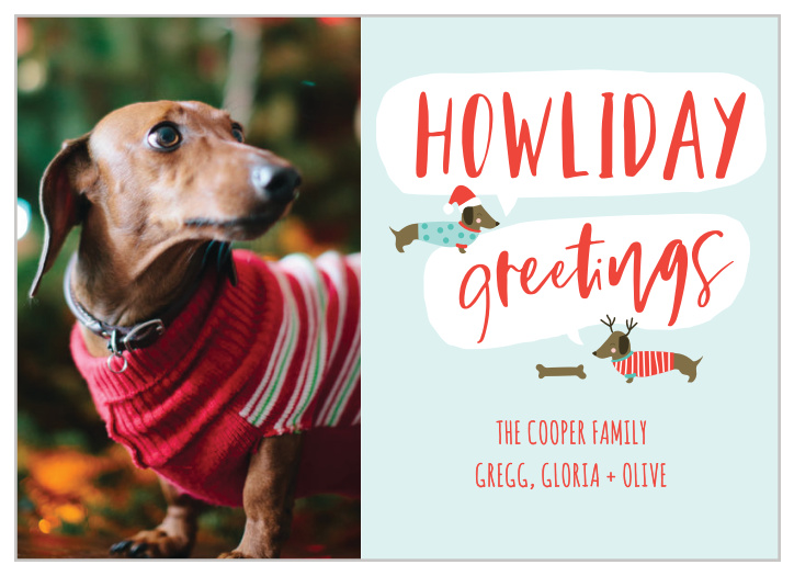 Our stunning Dashing Dachshund Christmas Cards offer a focus on your furry, four-legged family members. A sprawling calligraphy spells out your holiday well-wishes on the right side of the card, utilizing the classic contrast of white, red, and blue to share your cheer. Choose your favorite photo to decorate the lefthand portion and give your winter a warm finish!