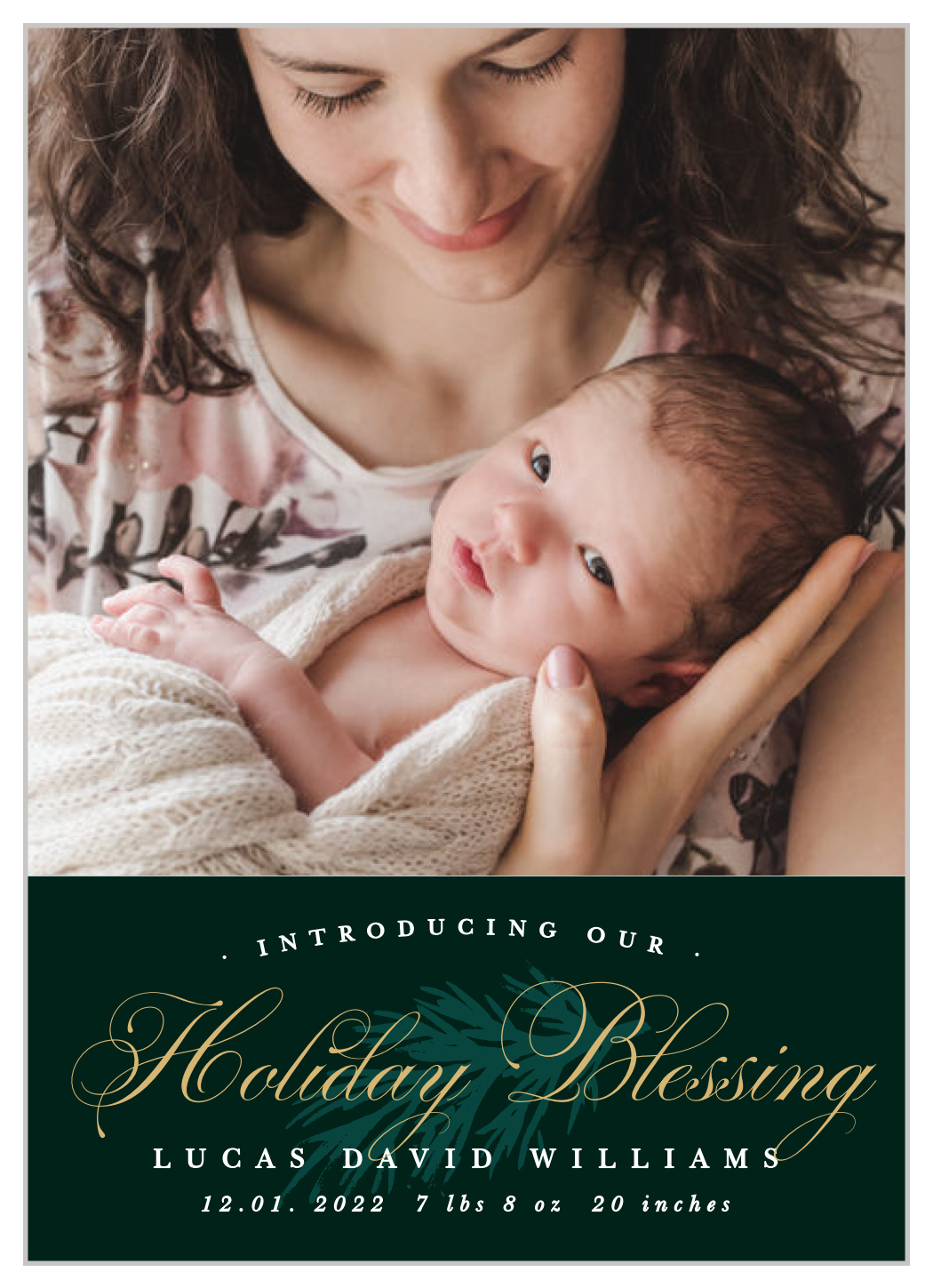 Winter Blessing Holiday Cards