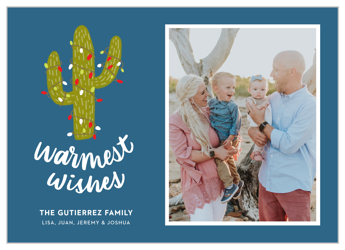 Desert Cactus Christmas Cards