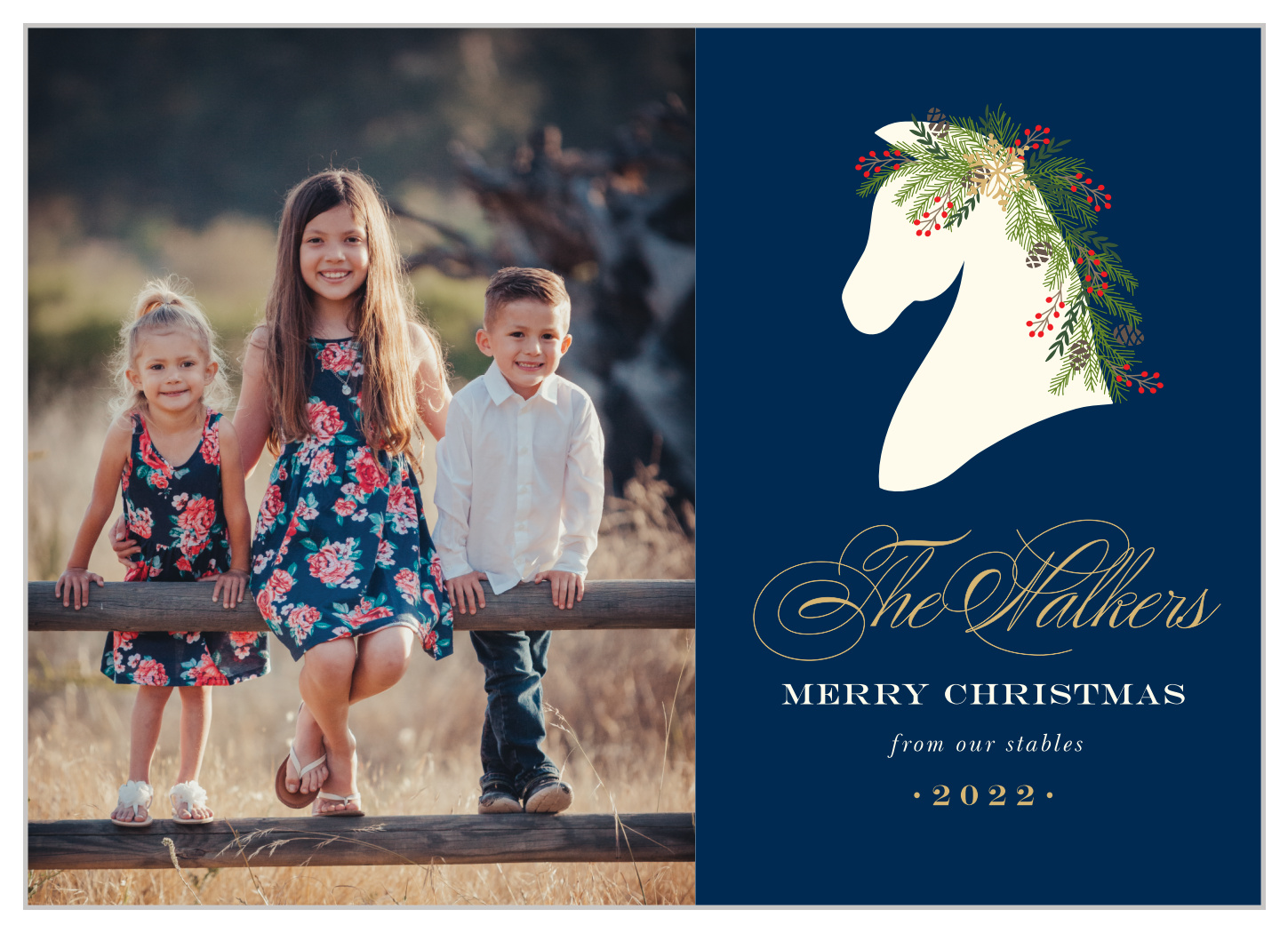 Stable Horses Christmas Cards