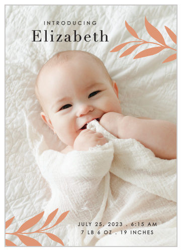 Ornamental Photo Stamp Birth Announcements