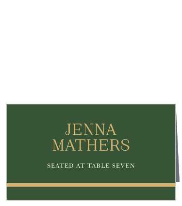 Help your guests to their seats with the shining beacon of their own names in gold-foil. Our Emerald Border Place Cards utilize neat, clean-cut prints to spell out your guests' names and table number, then elegantly complement them with a duo of classic gemstone colors.
