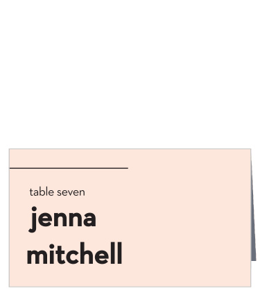 Our Minimal Type Place Cards are the definition of modern minimalism.
