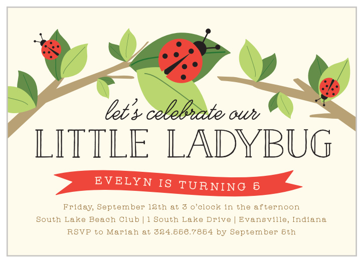 Give your child the best birthday of their lives so far with our Little Ladybug Children's Birthday Party Invitations!