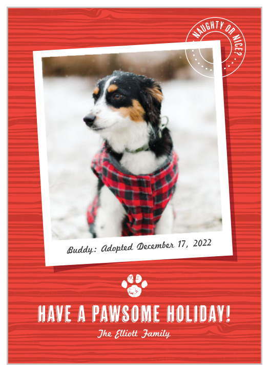 Your furry cutie sits at the forefront of our Pawsome Holiday Cards! Pick your favorite picture of your pet and feature it front and center.