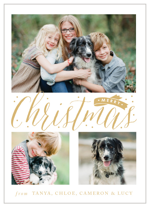 An unforgettable trio of your favorite photographs adorn the surface of our Christmas Banner Photo Holiday Cards, keeping the focus of the season on your beautiful family.