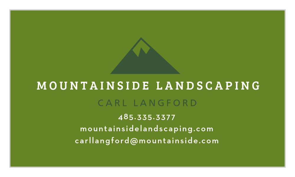 Mountain Logo Business Cards