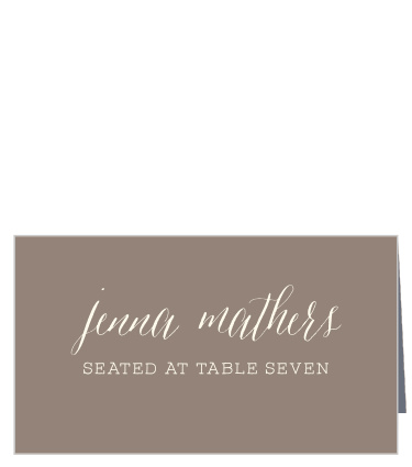 Wildflower Ampersand Place Cards help your guests find their seats among the hustle and bustle of your reception. Neat calligraphy spells out each guest of honor's name, followed shortly by the table number in bright white. Placed alongside your own decorations on each reception table, these cards are a beautiful addition to your style and themes.