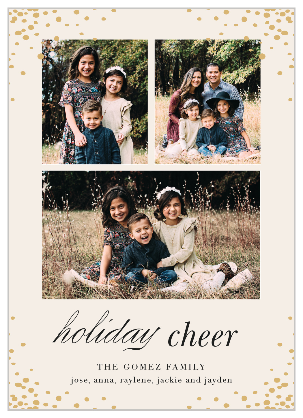 Holiday Cheer Holiday Cards