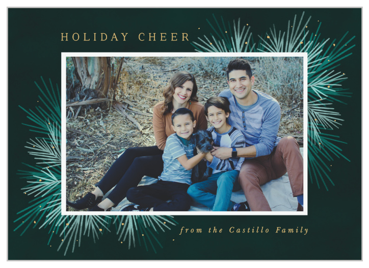 This holiday card is sure to be a hit with your friends and family. Our Photo Festive Holiday Cards are the perfect way to show your family and friends the amazing year you've had.