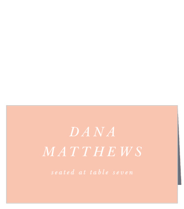 The Modern Polaroid Place Cards are the perfect way to ensure that everyone has a spot to sit at your wedding reception!