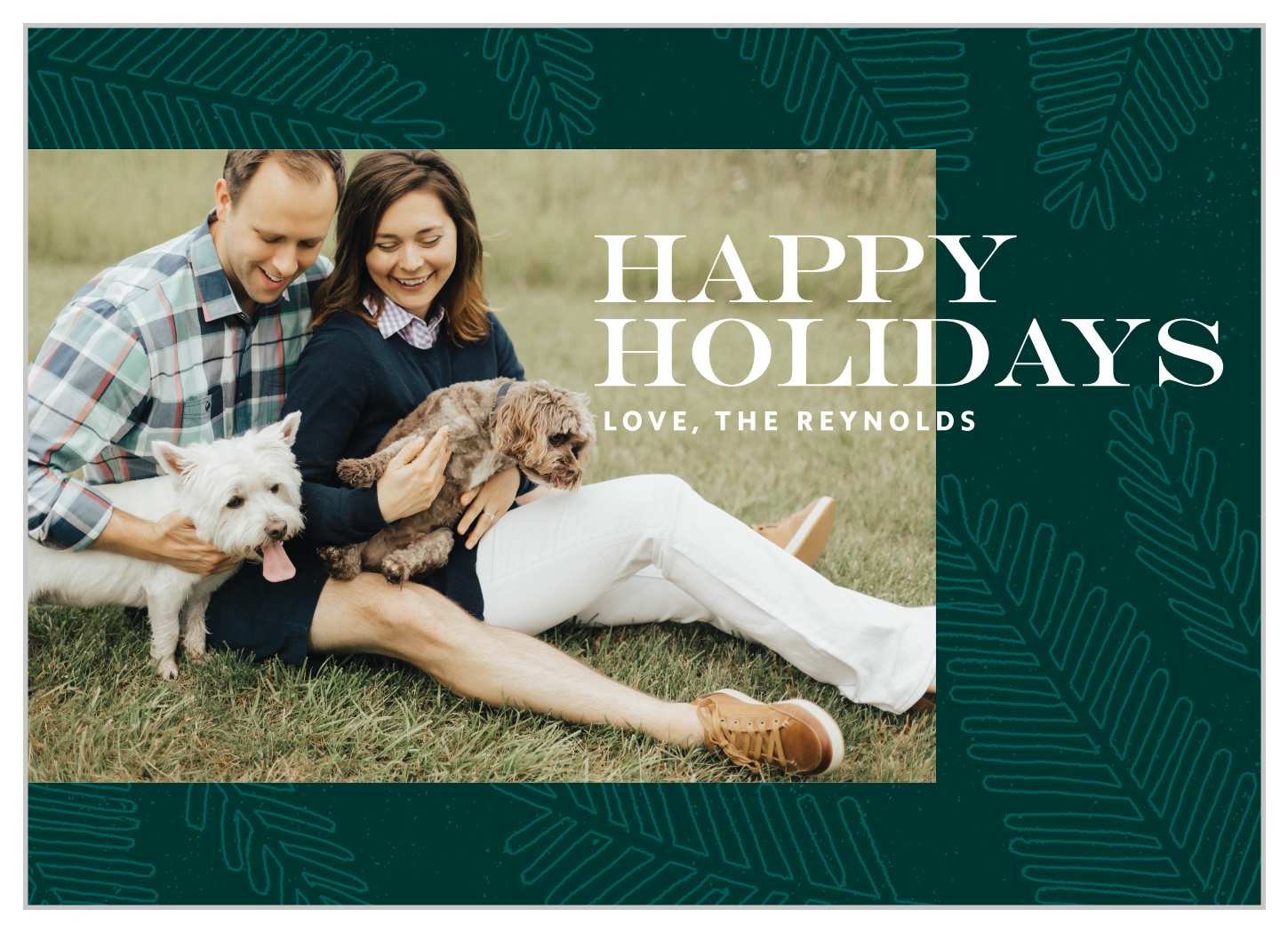 Bold Pine Holiday Cards