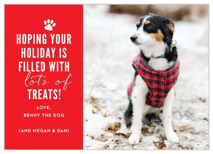 Lots of Treats Holiday Card with a bright red background displaying joy for your furry loved one.