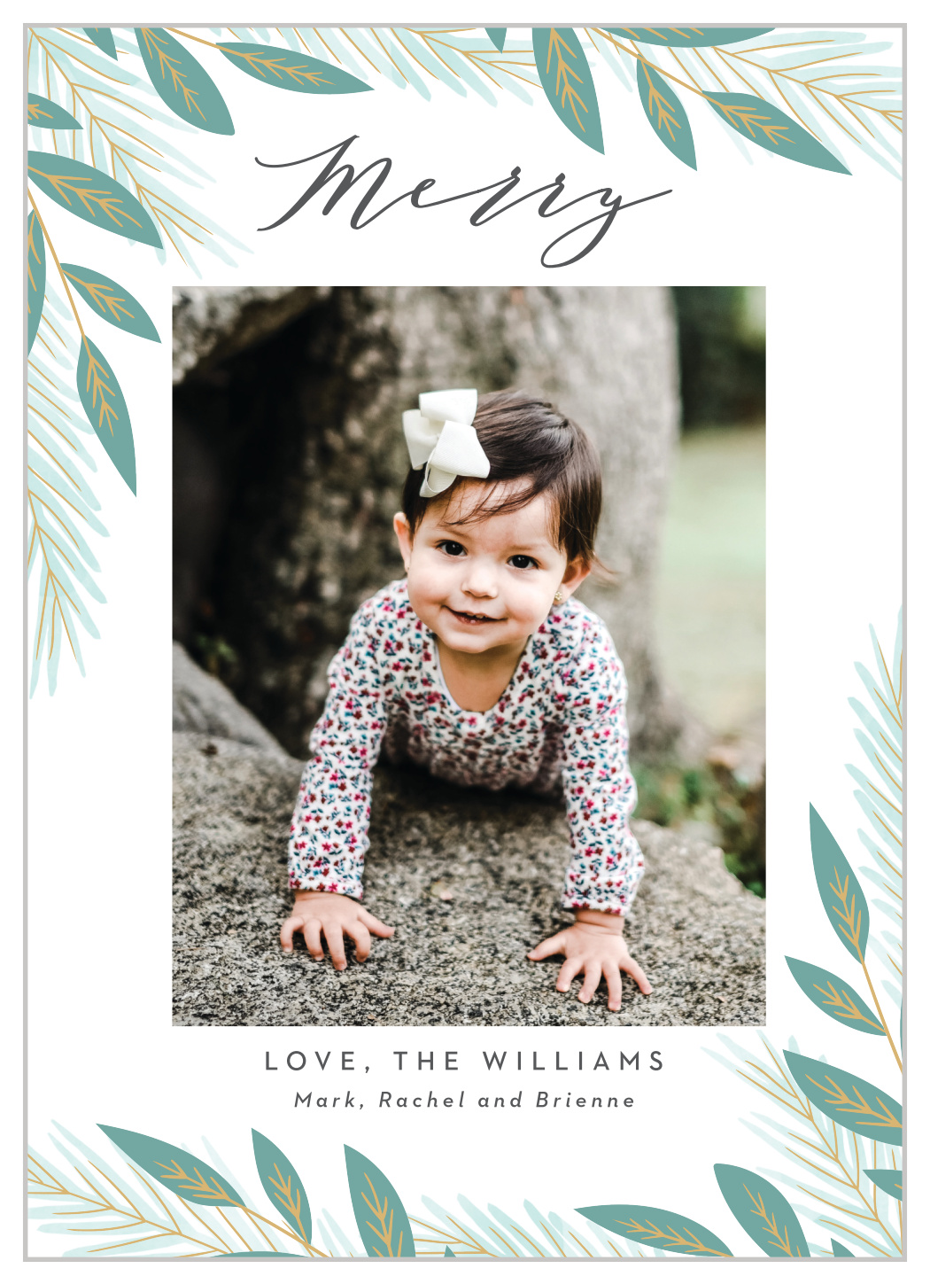 Joyful Pine Holiday Cards