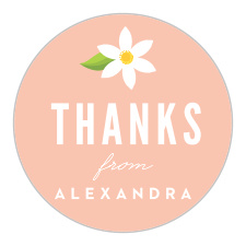 Add a personalized touch to your bridal shower invitation with our Lemonade Pop Bridal Shower Stickers. 