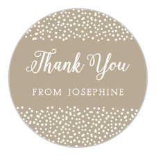 Get ready to celebrate with our rustic Confetti Border Bridal Shower Stickers!