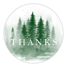 Add a special touch to your bridal shower invitations with our Delicate Pine Bridal Shower Stickers.