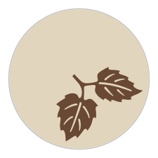 The Elegant Fall Scrolls logo square is the finishing touch to an already beautiful invitation suite.