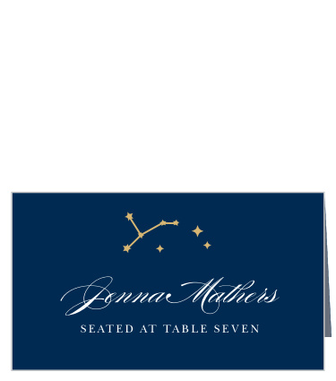 Our Classic Constellation Foil Place Cards are the perfect way to keep the seating organized at your wedding festivities!