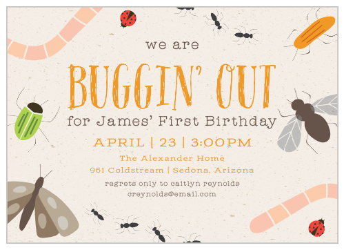 Bugs & Insects First Birthday Invitations
