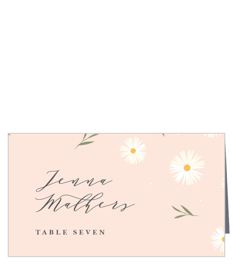 Tiny Daisies Place Cards