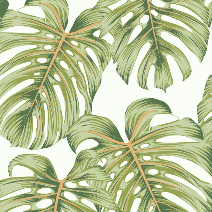 Create the living space of your dreams with our Monstera Botanicals Peel And Stick Removable Wallpaper.