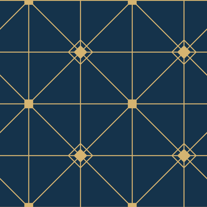 Our Moody Geometric Peel And Stick Removable Wallpaper is sure to make a statement on any wall in your home!