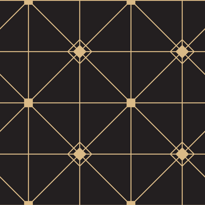 Our Moody Geometric Peel And Stick Removable Wallpaper is sure to make a statement on any wall in your home!