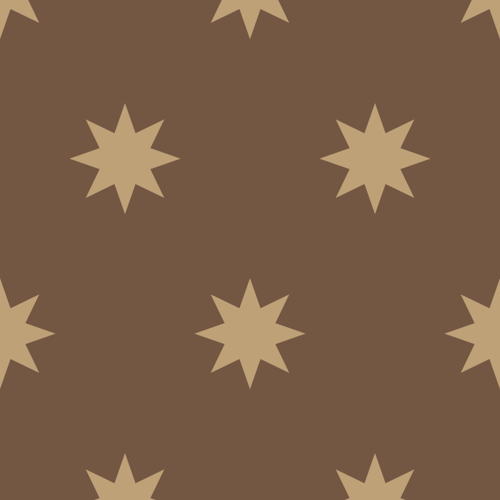 Make a statement in any room of your home with the artistic look of our Boho Stars Peel And Stick Removable Wallpaper.