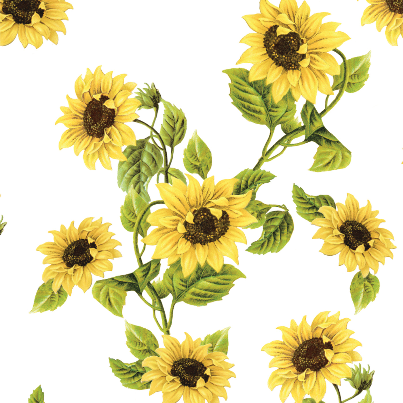 Classic Sunflowers Wallpaper
