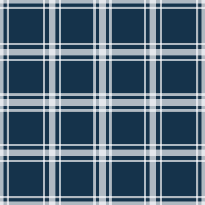 Some things are timeless, and plaid is one of those.