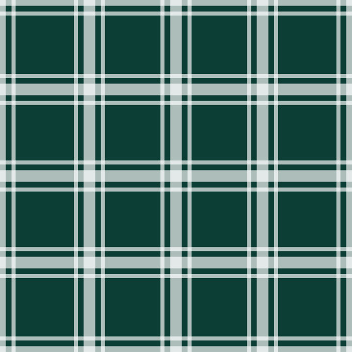 Some things are timeless, and plaid is one of those.