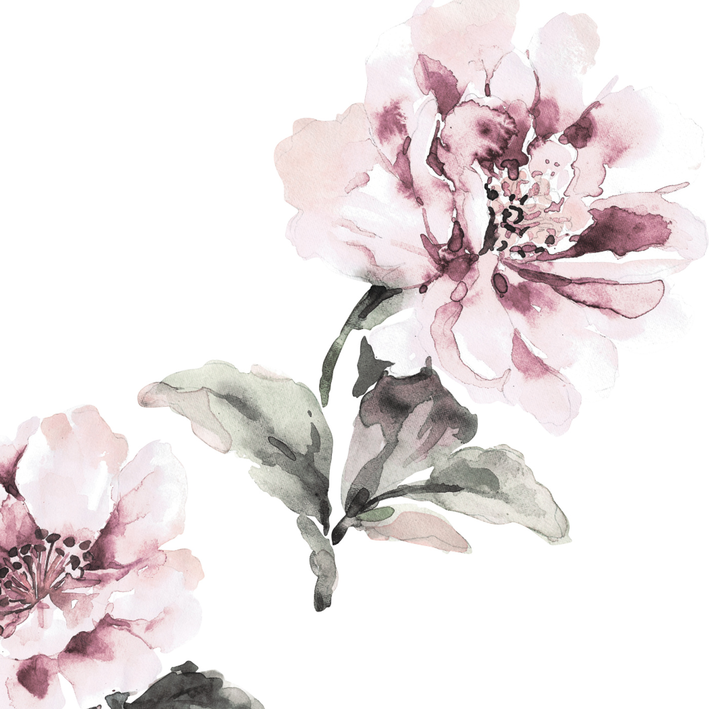 Amelia Blossoms Wallpaper
