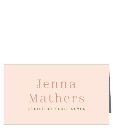 Keep your guests organized, with our Clean Lines Place Cards!