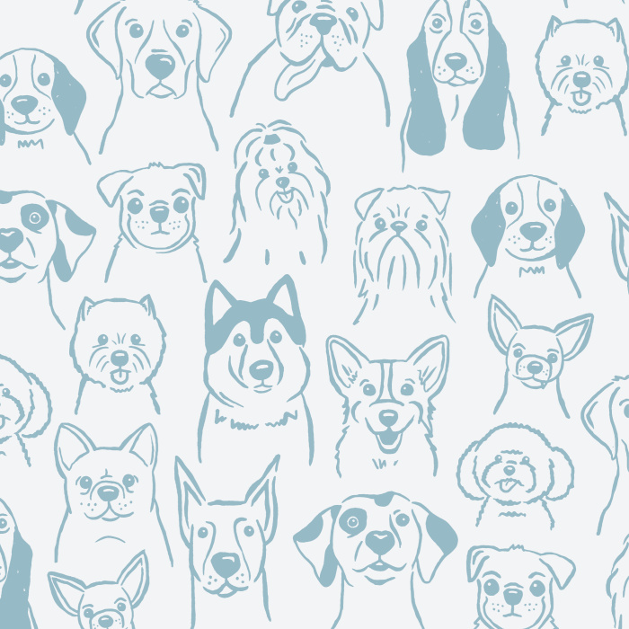Get your daily dose of oxytocin with our cute and fluffy Puppy Dogs Peel And Stick Removable Wallpaper!