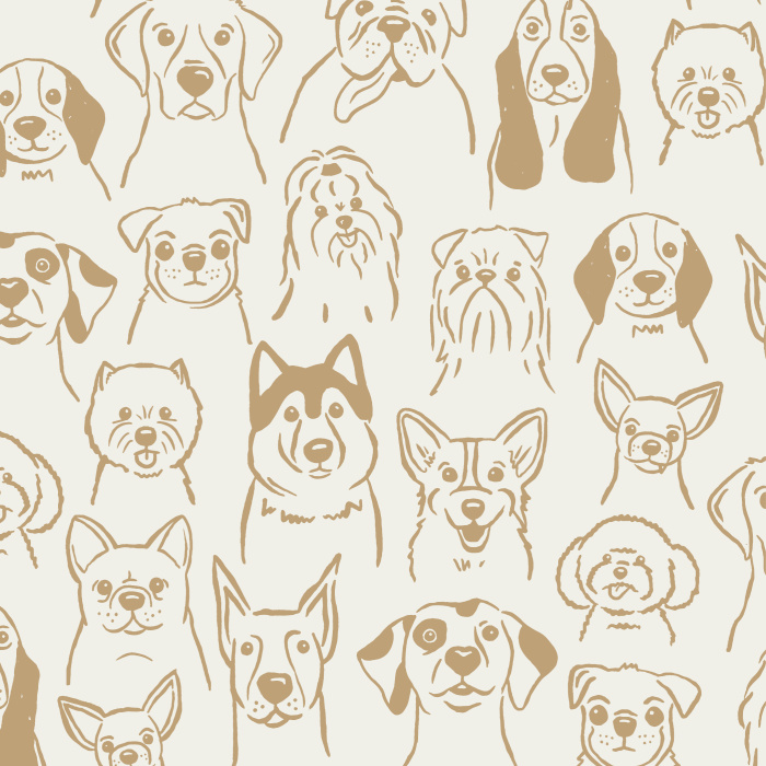 Get your daily dose of oxytocin with our cute and fluffy Puppy Dogs Peel And Stick Removable Wallpaper!
